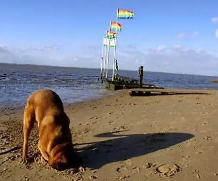 Bullauge, Vermittlung Nordsee *
