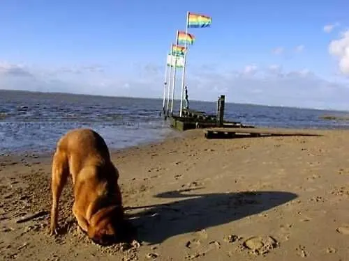Bullauge, Vermittlung Nordsee *